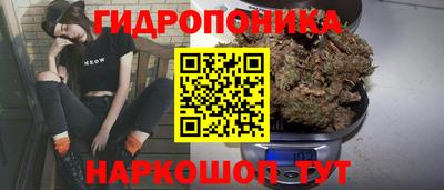 спиды Ливны