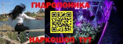 спиды Ливны