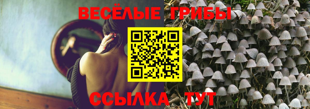 Псилоцибиновые грибы мицелий Ишимбай
